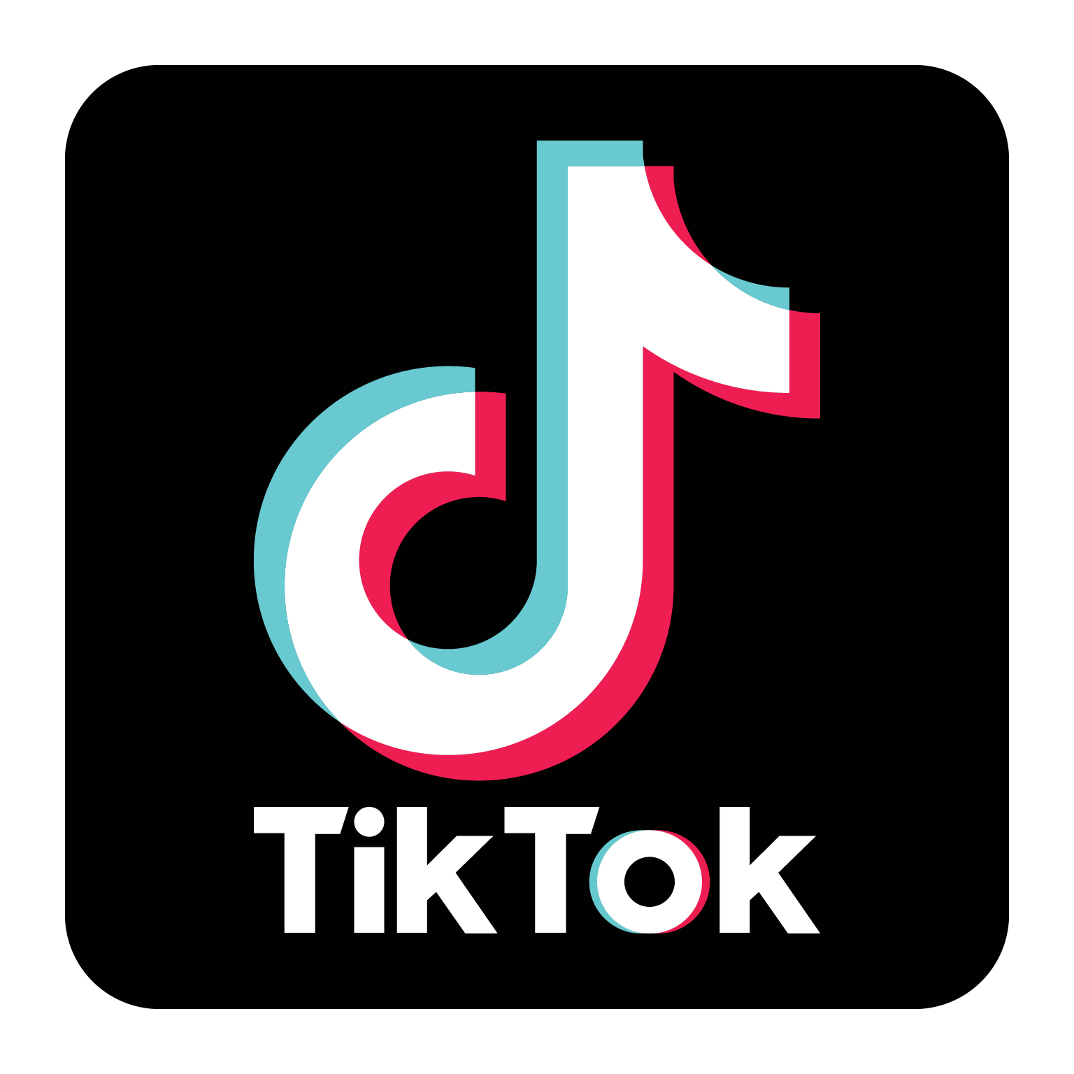 TikTok Link